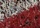 Aliento y pasión en la gradas del Estadio Monumental