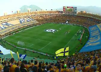 ¡Erizante!: Los mejores recibimientos a Tigres en finales