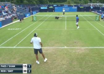 Al tenis se puede jugar sentado: miren este puntazo