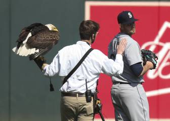 Un águila blanca visitó la MLB y aterrizó en un jugador