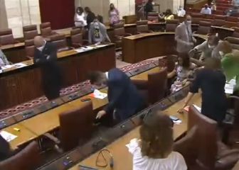 Una rata se cuela en el Parlamento andaluz y desata el caos: atentos al grito