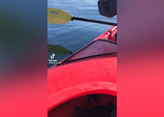 Dos chicas en un kayak y aparece una manada de orcas