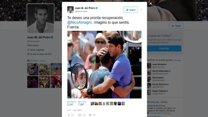 El gran gesto de Del Potro tras la lesión de Nicolás Almagro