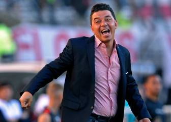Marcelo Gallardo: 