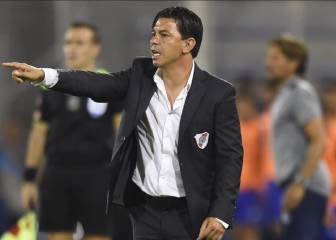 Gallardo: 