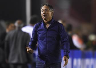 Holan: 