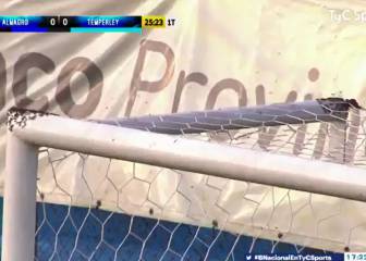 Un panal de abejas provoca la suspensión del Almagro-Temperley