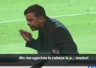 Los gritos de Gallardo a Borré: 