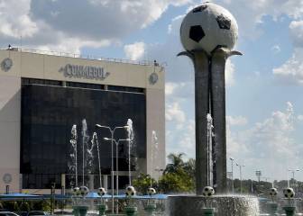 ¿Qué pasará con la Copa Libertadores, Copa Sudamericana y las Eliminatorias a Qatar?