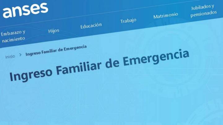 4 ANSES IFE: ¿a quién pueden pedir la devolución completa del aporte?