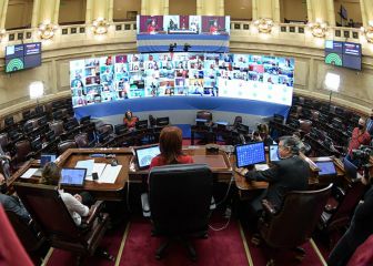 Ley del Aborto: ¿cuántos senadores hay en Argentina y cuántos votos hacen falta para su aprobación?