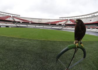 En el Día del Animal, River presentó a sus gavilanes