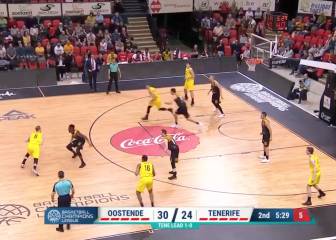 Un gris Tenerife cae en Bélgica