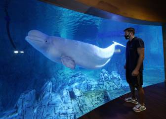 Felipe Reyes ya es único en la historia del Real Madrid