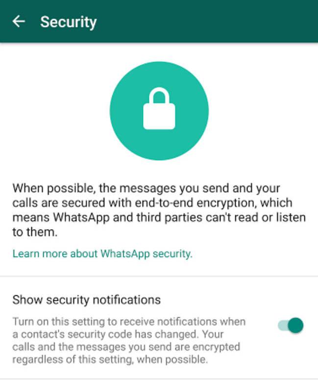 La opción que debes activar para reforzar la seguridad actual de tus chats de WhatsApp