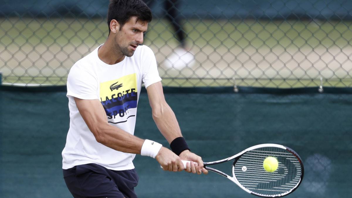 ¿Qué peso tiene la raqueta de Djokovic