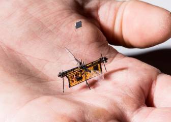 Insectos robot con energía láser, el ejército invisible del futuro