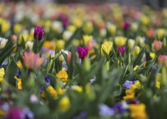 Éstas son las razones por las que nos cuesta adaptarnos a la primavera