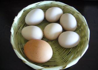 ¿Es verdad que solo podemos comer 4 huevos a la semana?