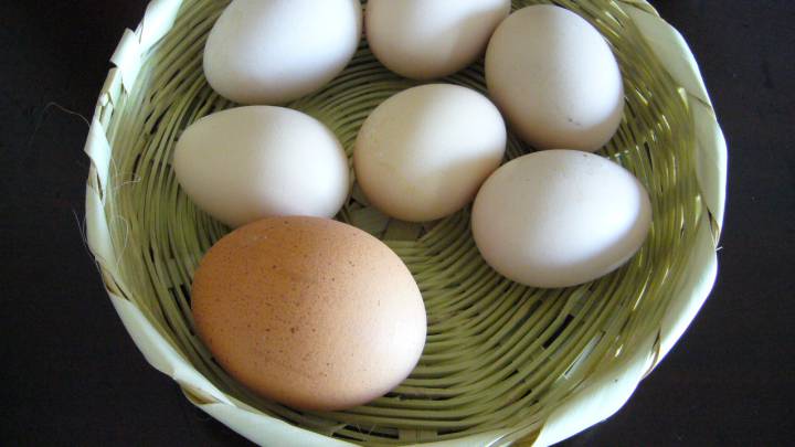 ¿Es verdad que solo podemos comer 4 huevos a la semana?