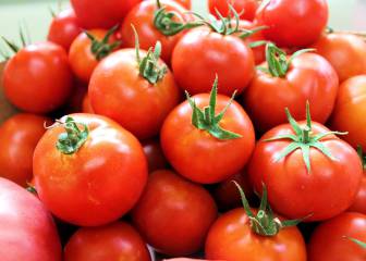 Los tomates son muy buenos para la salud.