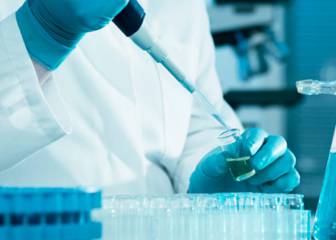 Demostrado uno de los mecanismos de supervivencia de las neuronas durante la vejez