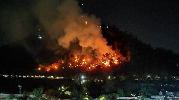 El domingo en la noche se produjo un incendio en el Cerro San Cristóbal poniendo en riesgo a los animales del Zoológico Metropolitano, fueron evacuados de forma preventiva.
