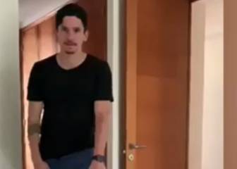 El desafío de Parot para hacer en casa durante la cuarentena