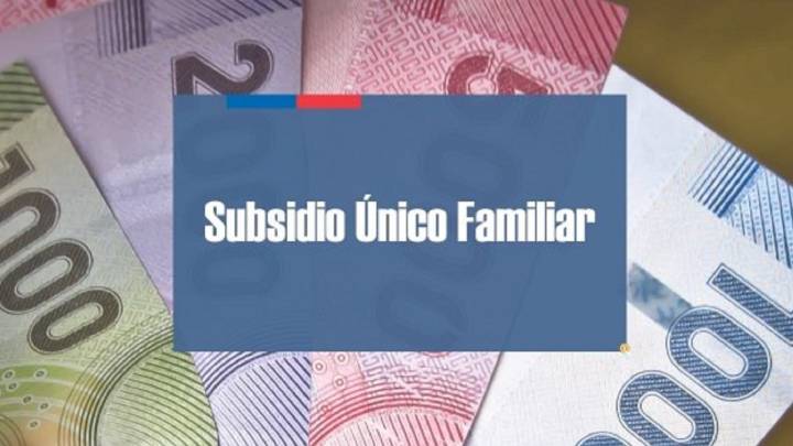 Subsidio Único Familiar (SUF): cómo consultar si soy beneficiario