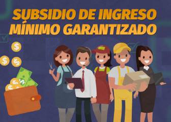 Ingreso Mínimo Garantizado: cómo consultar los resultados de la postulación al subsidio
