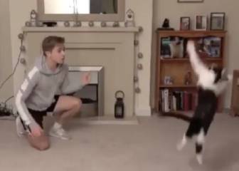 El gato viral que es comparado con Neuer, Oblak y Ter Stegen