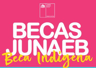 Beca Indígena de Junaeb: cómo apelar si no aparezco entre los resultados