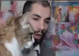 El cómico momento del Diputado Garin: ¡apareció su gata en plena argumentación!