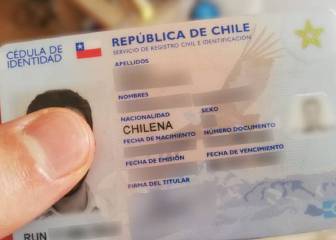 Plebiscito Nacional 2020: ¿puedo votar con el carnet vencido?