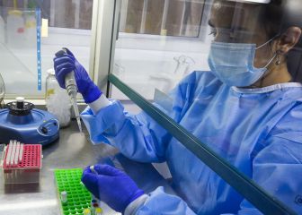 Segundo retiro 10% AFP y coronavirus: casos y muertes, hoy lunes 16 de noviembre