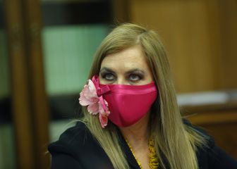 ¿Podria Pamela Jiles presentarse a presidenta de la República de Chile?