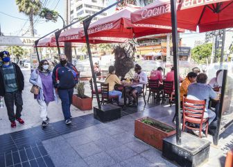 Curva y mapa de casos, contagios y muertes por región en Chile, hoy, 20 de noviembre