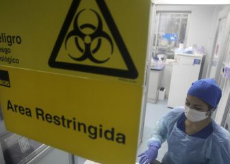 Curva y mapa de casos, contagios y muertes por región en Chile, hoy, 01 de diciembre