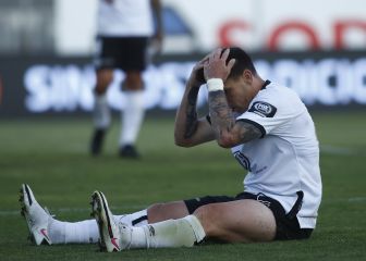 El curioso caso de Mouche