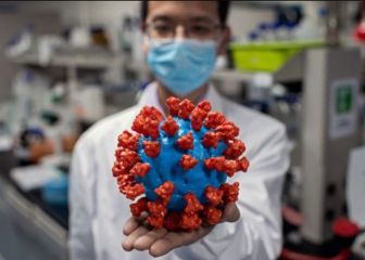 Mutaciones del coronavirus en Chile: ¿se han encontrado y qué peligros tienen?