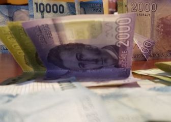 Subsidio Protege: a quién va destinado, monto y cuándo se cobrará