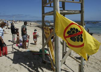 Curva y mapa de casos, contagios y muertes por región en Chile, hoy, 28 de enero