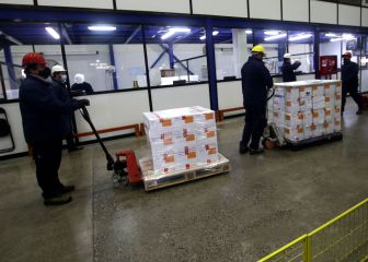 Vacuna Sinovac en Chile: quiénes serán los primeros en recibirla y cuándo lo harán