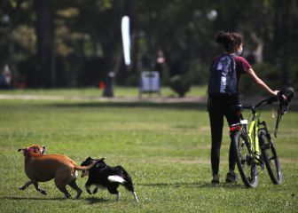 Coronavirus en Chile y comunas en cuarentena: calendario de vacunación | Última hora de hoy, 16 de febrero