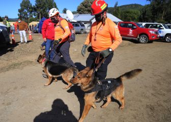 Caso Tomás Bravo, niño perdido: último minuto y noticias de la desaparición hoy, 24 de febrero