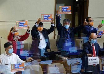 Proyecto Royalty Minero: quién votó a favor y en contra en la Cámara de Diputados