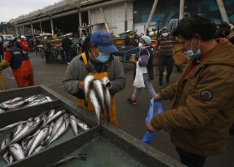 Curva y mapa de casos, contagios y muertes por región en Chile, hoy, sábado 3 de abril