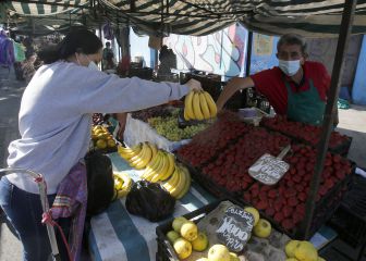Capital Semilla: En qué consiste, cuánta financiación se puede llegar a recibir y cómo postularlo