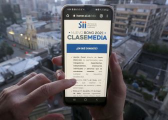 Bono Clase Media: ¿cómo consultar el estado de mi solicitud y saber si me pagaron?