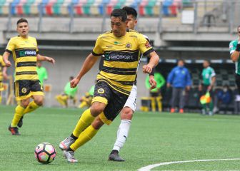 ¿La punta del iceberg?